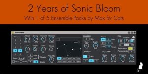 2 Years of Sonic Bloom Giveaway - Ensemble by Max for Cats