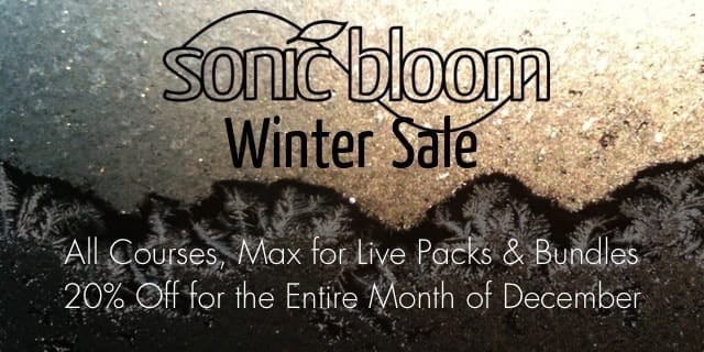 Sonic Bloom Winter Sale 2014 - Everything 20% Off