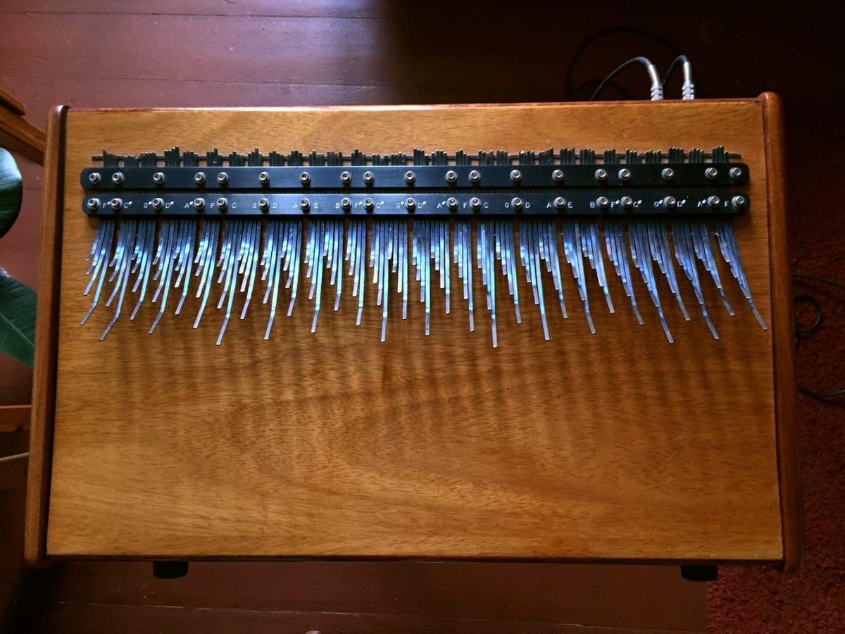 My array mbira